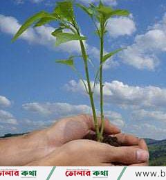 আজ বিশ্ব পরিবেশ দিবস