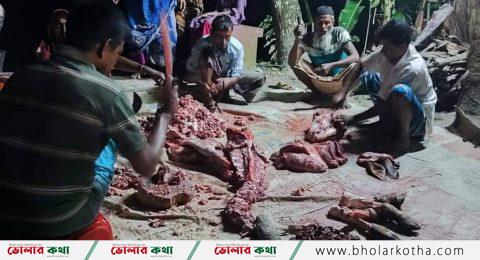 বোরহানউদ্দিন কাচিয়ায় রেবিস ভাইরাসে আকান্ত গরু দিয়ে বিয়ের অনুষ্ঠানে ভোজের আয়োজন