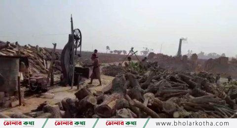 ভোলার তজুমদ্দিনে ইট ভাটায় পোড়ানো হচ্ছে কাঠ, হুমকির মুখে পরিবেশ