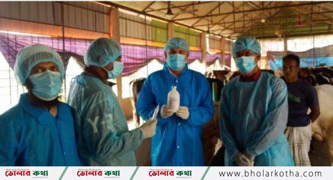 বাকৃবির গবেষক স্বল্পমূল্যের ম্যাসটাইটিস ভ্যাক্সিন উদ্ভাবন করলেন