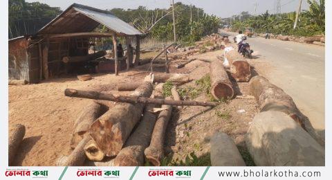 সড়কের পাশে গাছ রেখে স-মিলের ব্যবসা, স্বাস্থ্য ঝুঁকিসহ দূর্ঘটনার শঙ্কা