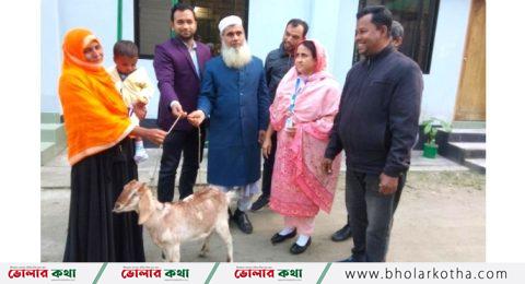 ভোলায় ক্ষুদ্র মৎস্যজীবি ৬০ পরিবার পেলো বিকল্প কর্মসংস্থানের ব্যবস্থা