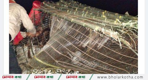 অবৈধ ১৬ চাই জাল আটক, ১ হাজার কেজি পাঙ্গাসের পোনা জব্দ
