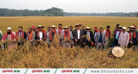 ভোলায় অনুষ্ঠিত ঐতিহ্যবাহী ‘ধান কাটা ও নবান্ন উৎসব’